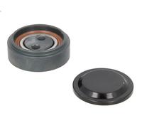 Polea tensora, correa poli V SKF VKM 31040 para AUDI A4 B6 (8E2) 2.5 2000-2004