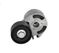 Polea tensora, correa poli V SKF VKM 33061 para PEUGEOT 206 Van 1.4 2001-2009