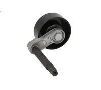 Polea tensora, correa poli V SKF VKM 38222 para BMW 5 (E39) 2 2000-2003