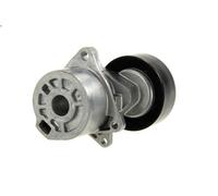 Polea tensora, correa poli V SKF VKM 62002 para NISSAN ROGUE 2.5 2007-2013
