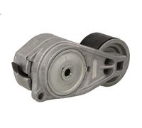 SKF VKMCV 56011 Polea tensora, correa poli V
