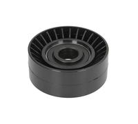 Polea tensora, Correa poly V BTA E2B5025BTA