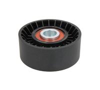 Polea tensora, Correa poly V BTA E2M0035BTA