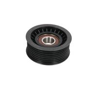 Polea tensora, Correa poly V BTA E2W0002BTA