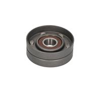 Polea tensora, Correa poly V BTA E2W5776BTA