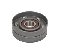 Polea tensora, Correa poly V BTA E2X5352BTA