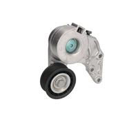 Polea tensora, Correa poly V GATES T38208