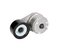 Polea tensora, Correa poly V GATES T38504