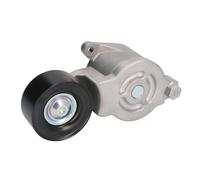 Polea tensora, Correa poly V GATES T39256