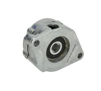 Polea tensora, Correa poly V HANS PRIES 108 418