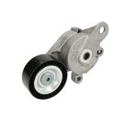 Polea tensora, Correa poly V SKF VKM 31042