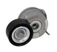 Polea tensora, Correa poly V SKF VKM 33205