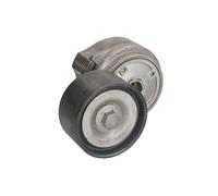 SKF VKMCV 51005 Polea tensora, correa poli V