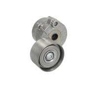 Polea tensora, Correa poly V SKF VKMCV 51025