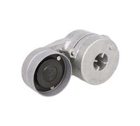 Polea tensora, Correa poly V SKF VKMCV 51031