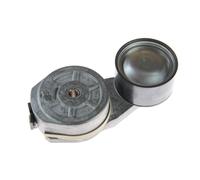 Polea tensora, Correa poly V SKF VKMCV 53001