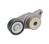 Polea tensora, Correa poly V SKF VKMCV 54005
