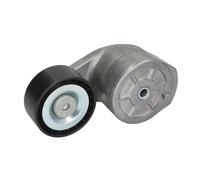 SKF VKMCV 56009 Polea tensora, correa poli V