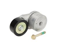 Polea tensora, Correa poly V SKF VKMCV 57009