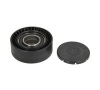 Polea tensora, Correa poly V SNR GA350.21