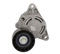Polea tensora, Correa poly V SNR GA355.26