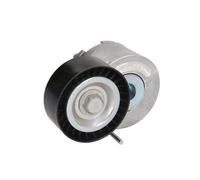 Polea tensora, Correa poly V SNR GA358.19