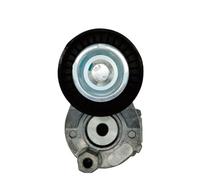 Polea tensora de correa del motor 1000050-A04 compatible con CS75 1.8T 2013-2019 486ZQ2 486Q5 RAETON CS95 CS85 2.0T