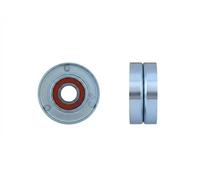 Polea tensora de la correa trapezoidal RNK-FR-040 NTY para FORD TRANSIT Autobús