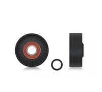 Polea tensora de la correa trapezoidal RNK-HY-518 NTY para HYUNDAI GRANDEUR