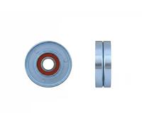 NTY Rodillo De Correa Para Land Rover Discovery IV L319 3.0 SDV6 4x4