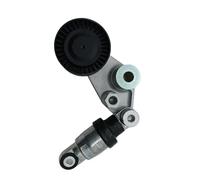 Polea Tensora Para Ssangyong Para Rexton Rodius/stavic Actyon Kyron Conjunto Tensor Correa 6652000370