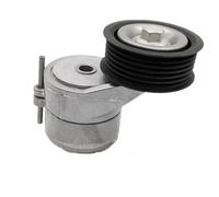 Polea Tensora Para TT Para A3 Para VW CC EOS Magotan B6 Para Golf 3.2L 3.6L Conjunto Tensor Polea Motor 022145299H 022145299C 022145299L