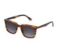Police sunglasses spll80 shiny striped brown 52/21/145 hombre