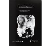 Poliestergrafía: la litografía expandida: Desarrollo histórico, estético y técnico: 014 (CALEIDOSCOPIO)