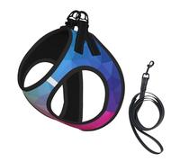 Poligonal Multicolor Que Consta de triángulos y arcoíris,Arnés para Mascotas, arnés Reflectante Ajustable para Perros,M