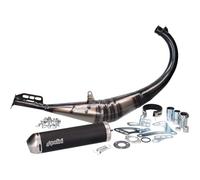 Polini Evolution - Tubo de escape para Aprilia RX50, Derbi Senda y Rieju RR