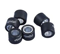 POLINI - Pln242122 : Rodillos 15X12 G. 5,5 (242122)