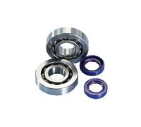 POLINI - PLN2820001/54 : Kit revision rodamientos y retenes cigüeñal POLINI