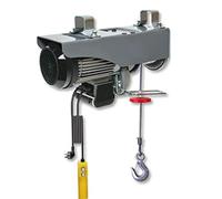 Polipasto eléctrico micro, grúa de 220 V, polipasto de elevación pequeño para el hogar PA300, grúa decorativa con cabrestante de 1 tonelada/0,5 T(20M)