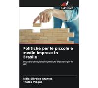Politiche per le piccole e medie imprese in Brasile: Un'analisi delle politiche pubbliche brasiliane per le PMI