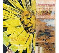 Pollard - Not in My Airforce [Vinilo]