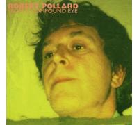 Pollard Robert - From a Compound Eye
