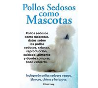 Pollos sedosos como mascotas. Datos sobre los Pollos Sedosos, crianza, reproducción, cuidado, alimento y donde comprar, todo cubierto. Incluyendo pollos sedosos negros, blancos, chinos y barbados.
