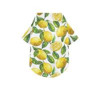 Polo de verano para perro con diseño de hojas verdes y limón amarillo, con botones, ligero y transpirable, ropa para cachorros, perfecto para el uso diario y sesiones de fotos, talla 3XL