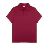 Polo para hombre adulto Europa y Estados Unidos, solapa de color sólido, bolsillos al aire libre, camisa de manga corta con diseño de ojo de pájaro, Vino, M