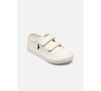 Polo Ralph Lauren FORRESTER LOW EZ 30 Beige