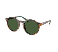 Polo Ralph Lauren Hombre PH4204U 608971 Gafas de sol Acetato Rojo Verde Pantos Normal