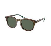 Polo Ralph Lauren Hombre PH4206 501771 Gafas de sol Acetato Tortuga Verde Pantos Normal