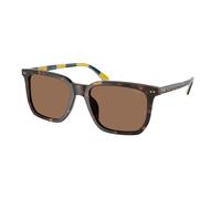 Polo Ralph Lauren Hombre Polo Ralph Lauren PH4224U 500373 Gafas de sol Acetato Tortuga Marrón Cuadrada Normal
