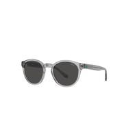 Gafas de sol Polo Ralph Lauren 0PH4192 Gris